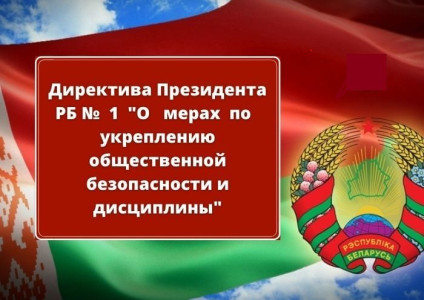 Мониторинг реализации требований Директивы №1